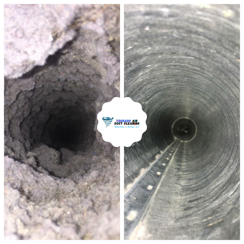 dryer vent cleaning before and after
